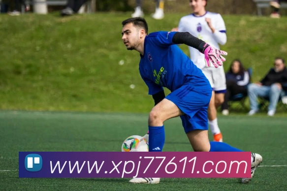 澳门新葡京入口平台生态图