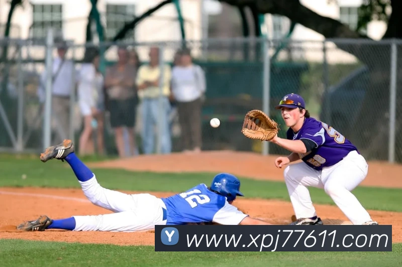 澳门新葡京入口全站App